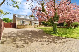 Photo 10- click for photo gallery